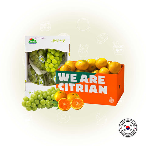 FRUITS BUNDLE - 1 Box of Shine Muscat + 1 Box of Jeju Tangerine / 한국 직송 샤인머스켓 2박스(2-3송이) 2kg / 제철 싱싱 제주 감귤 (7일간 판매)