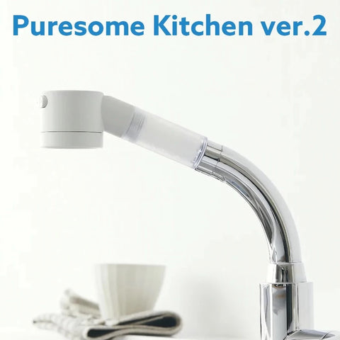 Bodyluv Puresome Kitchen Shower Head Tap Filter