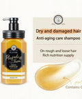 BUY HAIR DAMAGE PROTECTION PRODUCTS AT HEALTIHABIT SINGAPORE - Elastine PropoliThera Anti-Aging Care Shampoo for Damaged Hair 