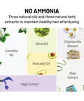Buy korean hair coloring products in Singapore with natural ingredients