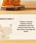 Buy Propolis Shampoo Products in Singapore at Healtihabit Singapore - Hair care products for damaged hair