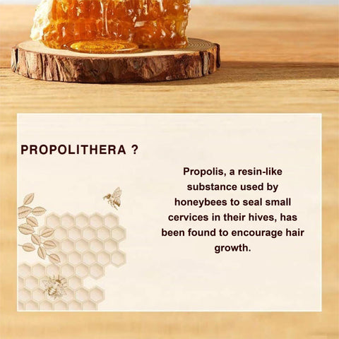 Buy Propolis Shampoo Products in Singapore at Healtihabit Singapore - Hair care products for damaged hair