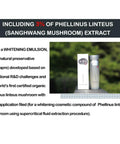 Buy korean skin care products in singapore for whitening, anti aging skin