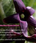Buy skin care in Singapore for stengthens skin barrier