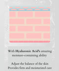 Buy hyaluronic acid skincare for dry skin in Singapore