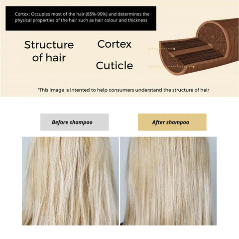 Buy hair care products in Singapore for Restores damaged hair for Prevents hair breakage - eZn Dr.BOND Rx-Plex No.6 Ampoule